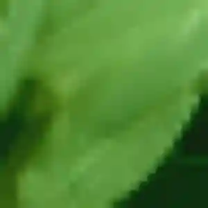 Photo privée de Diane, 44 ans à Balma - rencontre coquine
