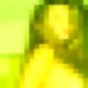 Tiffany, 22 ans, cherche un rencontre coquine à Caussade