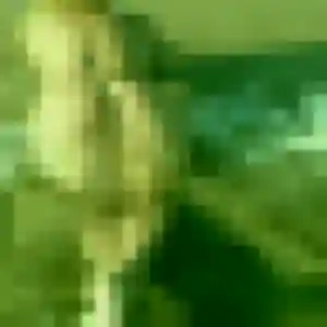 Photo privée de Anne, 39 ans à Coufouleux - rencontre sans lendemain