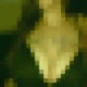 Alice, 40 ans, en ligne à Fenouillet pour une rencontre coquine