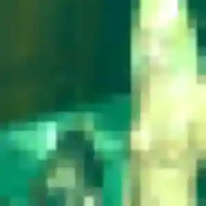 Contacte Celeste, 19 ans à Grisolles en t'inscrivant