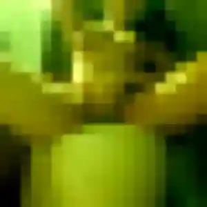 Photo perso de Margot, 45 ans à Le Soler - rencontre coquine