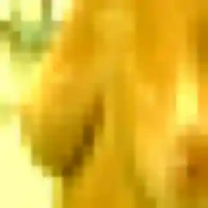 Ximena, 42 ans, connectée à Le Vigan pour un rencontre coquine