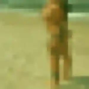 rencontre coquine à Marseillan : profil de Anastasia, 27 ans - inscription gratuite