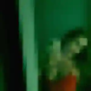 Brune, femme de 24 ans propose rencontre coquine à Montferrier-sur-Lez