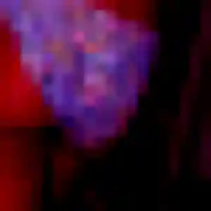 Fatima, 27 ans, disponible à Muret pour une rencontre coquine