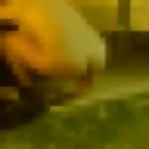 Profil de Paloma à Plaisance-du-Touch (38 ans) - rencontre coquine sans inscription