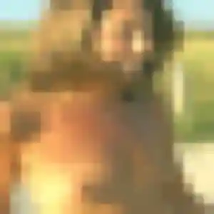 Photo de Cassandre à Pradines (29 ans) - rencontre coquine anonyme