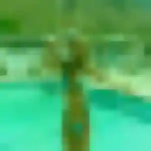 Romane (45 ans) à Roquettes attend un rencontre coquine aujourd'hui