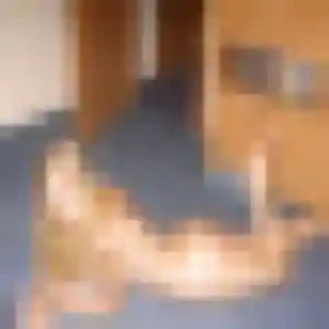 Chiara (44 ans) à Saint-Georges-d'Orques attend un rencontre coquine maintenant