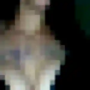 Clementine, femme de 35 ans propose rencontre coquine à Villeneuve-lès-Béziers